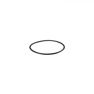 Garnitura tip Oring pentru carcasa mebrana osmoza inversa YT-25W 620x40