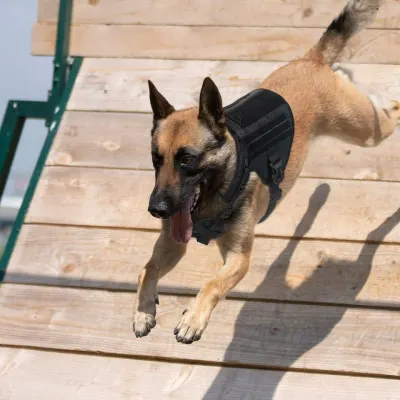 Ham Tactic K9 Fostex Garments – Control si Sistem MOLLE - M