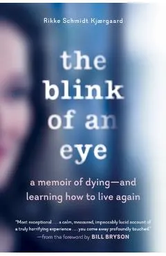 The Blink of an Eye: A Memoir of Dying--And Learning How to Live Again