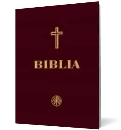 Biblia (Ediţie a Sfântului Sinod) (Format A4)