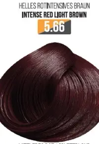 Vopsea Profesionala Fara Amoniac EVOQUE USA, Nuanta 5.66 INTENSE RED LIGHT BROWN - Cu Ulei de Argan si 12 Aminoacizi, 100 ml - Evoque