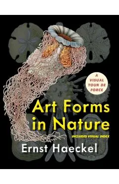 Art Forms in Nature (Dover Pictorial Archive)