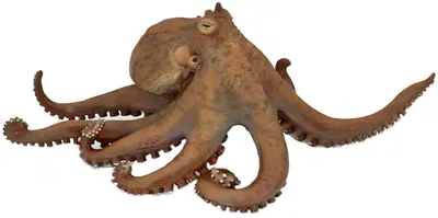 Figurina Papo Marine Life – Caracatita