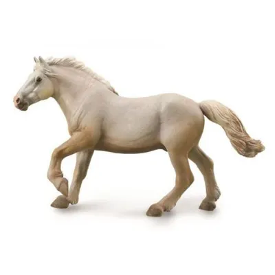 Armasar American - Collecta