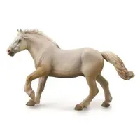 Armasar American - Collecta