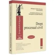Drept procesual civil