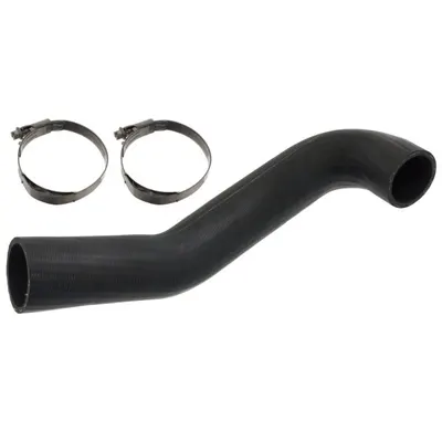 Furtun radiator (cu cleme, 60mm 60mm, lungime: 480mm) potrivit MAN TGA, TGS I, TGX I D2066LF01-D3876LF02 06.99