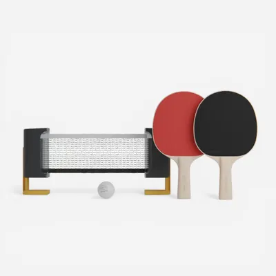 Set fileu de ping pong rollnet suprafețe mici + 2 rachete PPR100 + 2 mingi