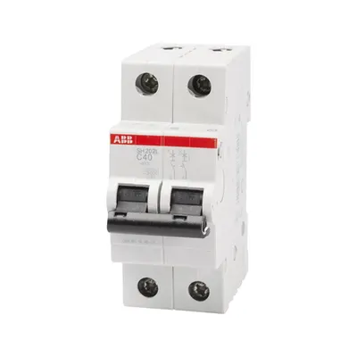 Intrerupator Automat 40A 2P C 4.5Ka SH202-L