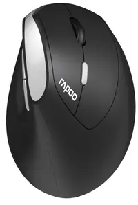 Mouse Rapoo - EV250, optic, fără fir, negru/argintiu