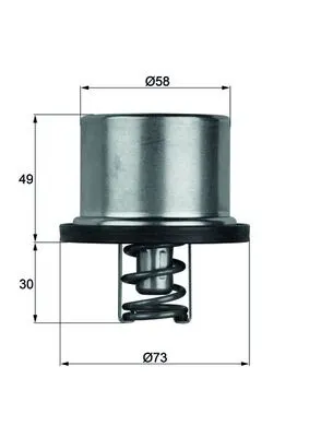 Termostat lichid racire (79 C, in carcasa) potrivit BMW 3 (E90), 3 (E92), 3 (E93), 5 (E60), 5 (E61), 6 (E63), 6 (E64) 4.0 4.4 5.0 09.04-10.13