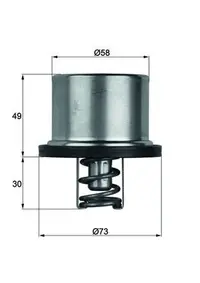 Termostat lichid racire (79 C, in carcasa) potrivit BMW 3 (E90), 3 (E92), 3 (E93), 5 (E60), 5 (E61), 6 (E63), 6 (E64) 4.0 4.4 5.0 09.04-10.13