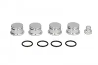 Set clapete turbionare galerie admisie potrivit ALFA ROMEO 147, 156, 159, GT; FIAT CROMA, STILO; OPEL ASTRA H, ASTRA H GTC, SIGNUM, VECTRA C, VECTRA C GTS, ZAFIRA B; SAAB 9-3, 9-5 1.9D 11.02-04.15
