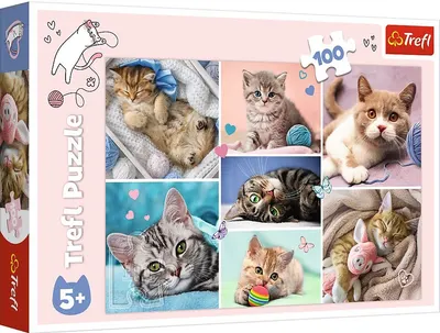 Puzzle Trefl din 100 de piese - In lumea pisicilor