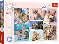 Puzzle Trefl din 100 de piese - In lumea pisicilor