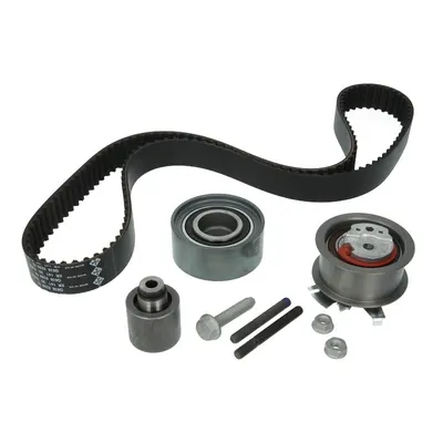 Kit Distributie Ina 530 0405 10