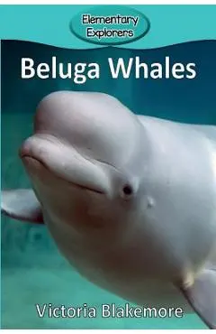 Beluga Whales