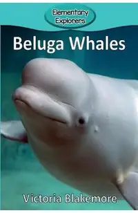 Beluga Whales