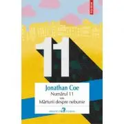 Numarul 11 sau Marturii despre nebunie