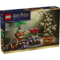 LEGO® Harry Potter - Plante pentru ora de ierbologie de la Hogwarts (76474)