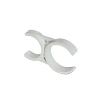 Clema compusa 2