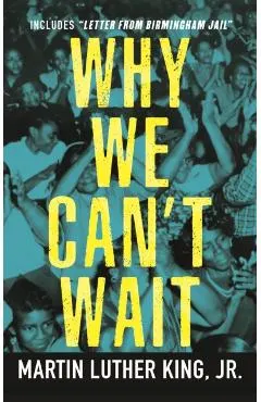 Why We Can't Wait