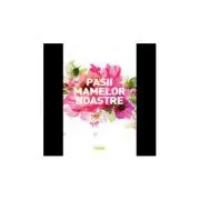 Pasii mamelor noastre