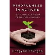 Mindfulness in actiune. Dezvoltarea armonioasa cu ajutorul meditatiei si a prezentei constiente