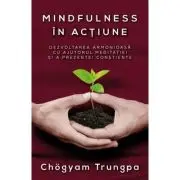 Mindfulness in actiune. Dezvoltarea armonioasa cu ajutorul meditatiei si a prezentei constiente