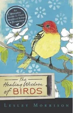 The Healing Wisdom of Birds: An Everyday Guide to Their Spiritual Songs & Symbolism