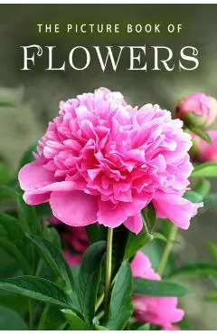 The Picture Book of Flowers: A Gift Book for Alzheimer's Patients and Seniors with Dementia