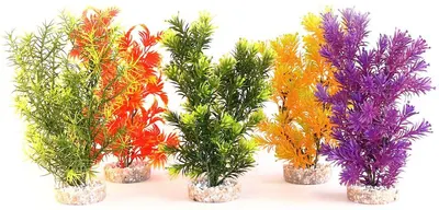 Sydeco Planta Jungle Medium 22 Cm
