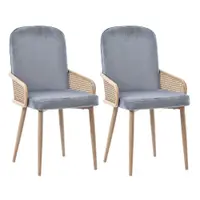 Set de 2 scaune moderne tapițate în ratan și material cu efect de catifea, Gri