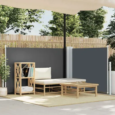 vidaXL Copertină laterală retractabilă, antracit, 100 x 600 cm