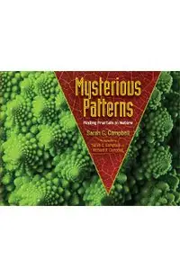 Mysterious Patterns: Finding Fractals in Nature