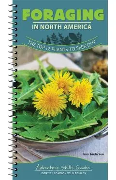 Foraging in North America: The Top 12 Plants to Seek Out