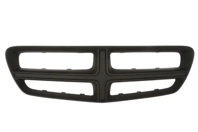 Grila radiator extern, negru potrivit DODGE CHARGER 3.6/5.7/6.4 dupa 2010
