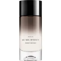 Issey Miyake Le Sel d'Issey parfum pentru bărbați 100 ml
