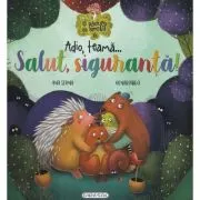 Adio, Teama... Salut, Siguranta!