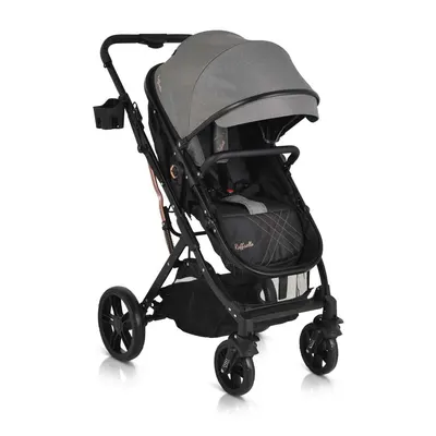 Carucior combinat Moni Raffaello 2024 Grey