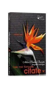 Cele mai frumoase citate. Alfabetul după... - Paperback brosat - Alice Năstase Buciuta