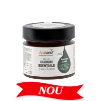 Miere de Mană cu Mix de Uleiuri Esențiale (eucalipt, tea tree, mentă, cuișoare, oregano, scorțișoară, lavandă, cimbrișor) - pentru imunitate, 250g - Default Title
