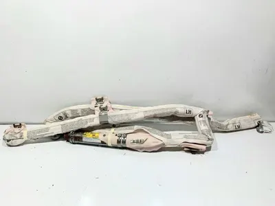 Airbag cortina stanga 84911027107 BMW Seria 7 (2008-2015) [F01, F02]