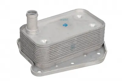 Radiator Ulei Potrivit Mercedes C (cl203), C T-Model (s203), C (w203), Clk (c209), E T-Model (s211), E (w211), G (w461), G (w463), S (w220, V220) 2.7d 3.0d 3.2d 08.99-07.09