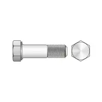 Surub Cap Hexagonal Partial Filetat 931 Inox A4-M20 X 170