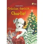 Craciun fericit, Charlie. Caruselul magic