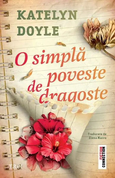 O simplă poveste de dragoste - Paperback brosat
