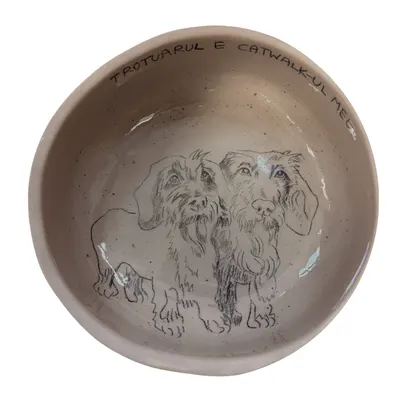 Bol ceramic Hand-Made - wired teckle