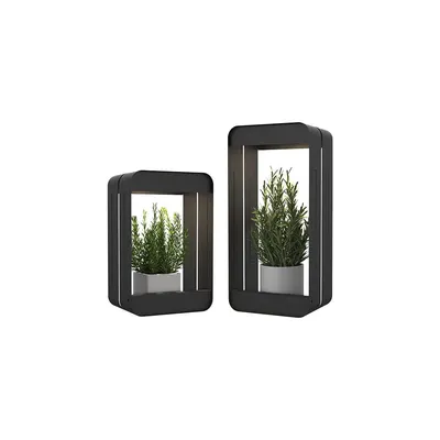 Suporturi pentru flori 2 buc. din oțel (înălțime 34,5 cm) Aria – Garden Pleasure