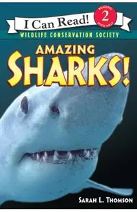 Amazing Sharks!